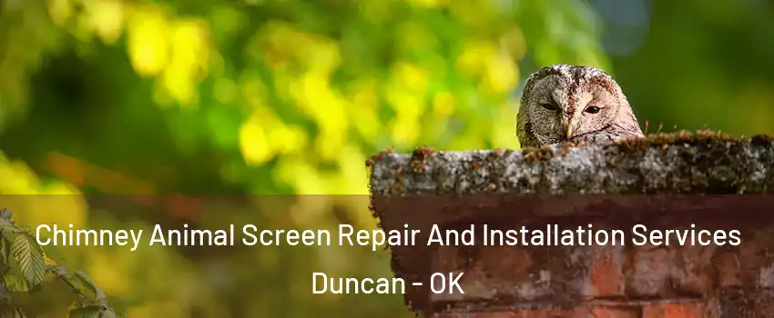  Chimney Animal Screen Repair And Installation Services Duncan - OK