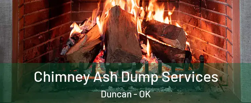  Chimney Ash Dump Services Duncan - OK
