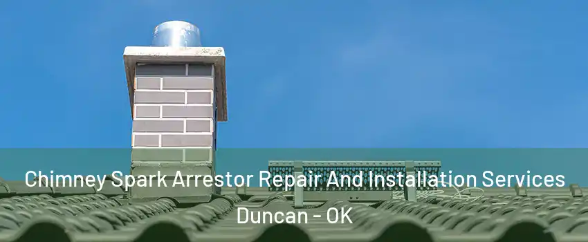  Chimney Spark Arrestor Repair And Installation Services Duncan - OK
