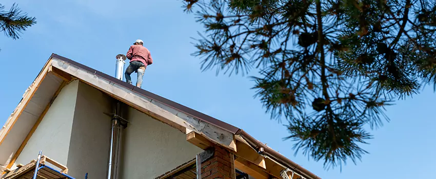 Birds Removal Contractors from Chimney in Duncan, OK