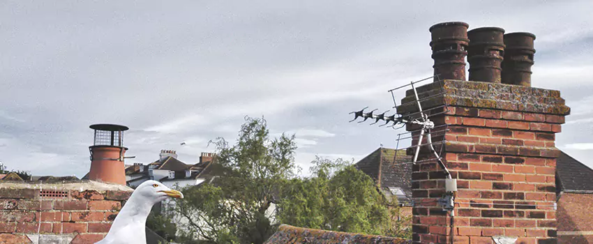Chimney Cleaning And Restoration in Duncan, Oklahoma